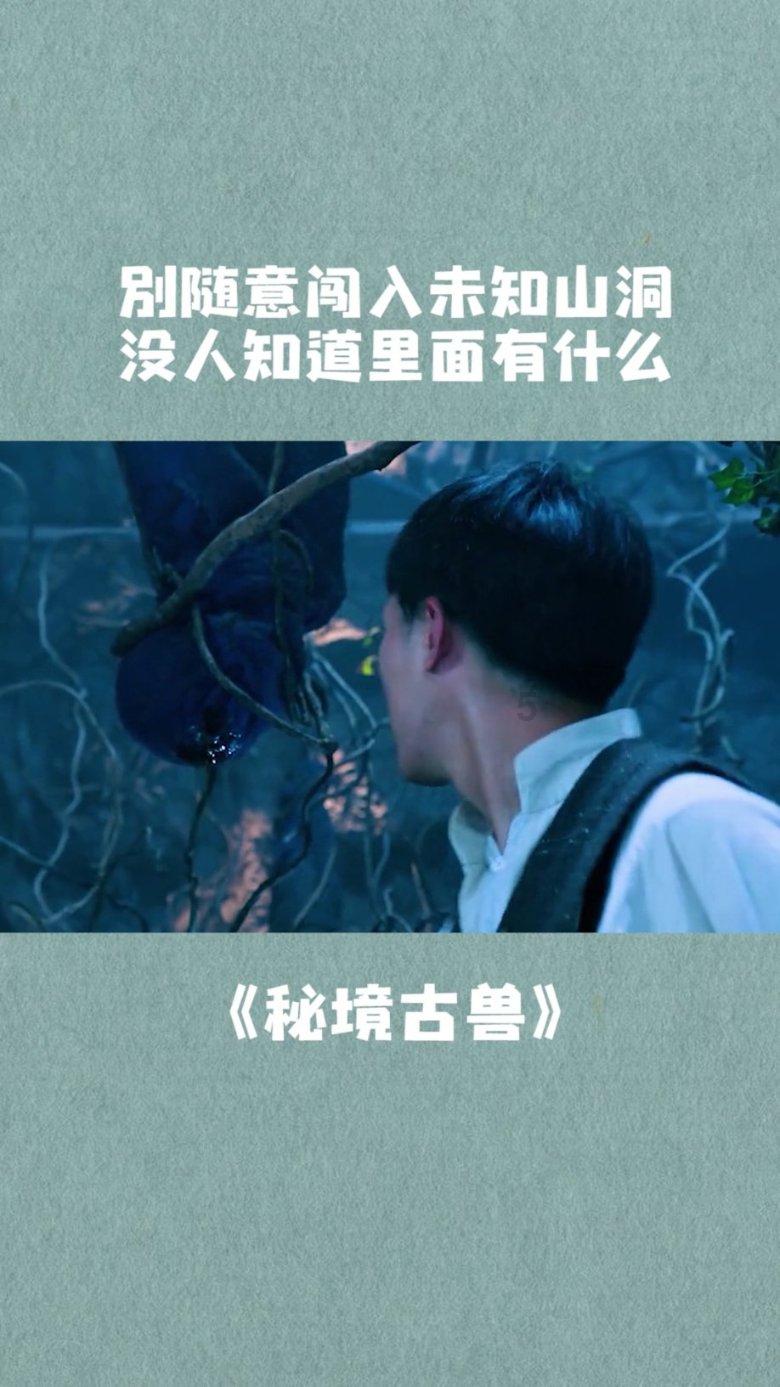 精灵的故事