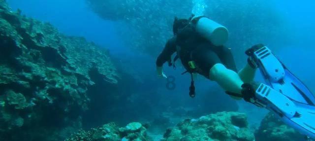 海盗寻宝记选关版